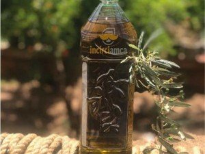 Pazı Sarması Tarifi Pazı Sarması Tarifi