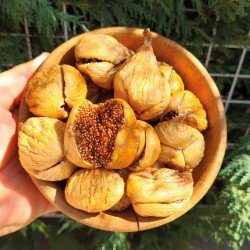 Çatlak İncir İri Boy 1Kg (Yeni Mahsül) Çatlak İncir İri Boy 1Kg (Yeni Mahsül)