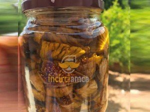 Kuru İncir Kürünün Kan yapıcı Etkisi Kuru İncir Kürünün Kan yapıcı Etkisi